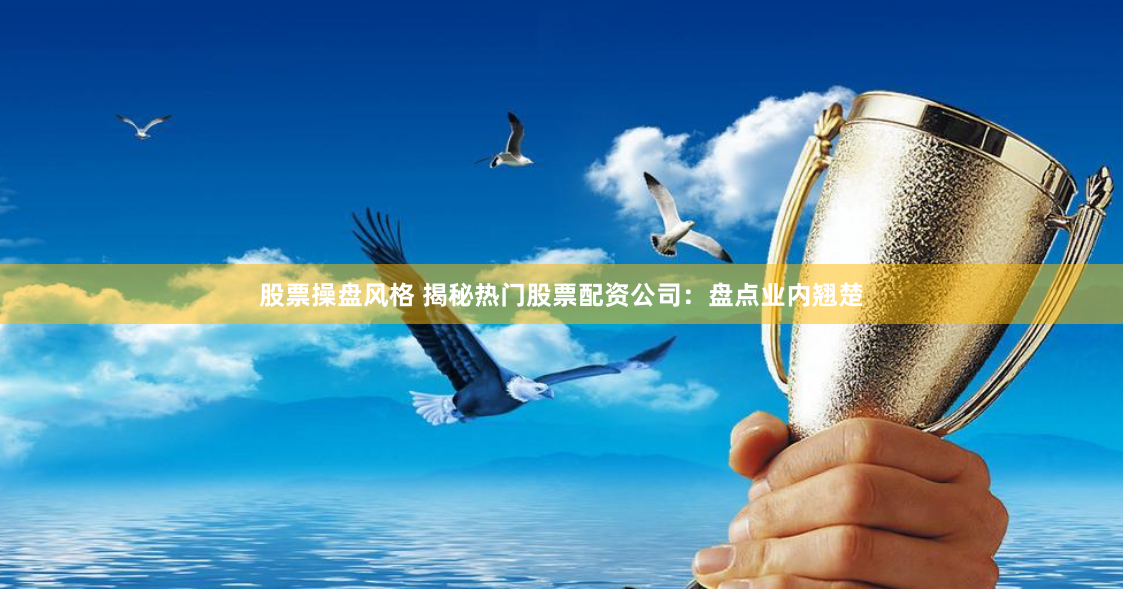 股票操盘风格 揭秘热门股票配资公司：盘点业内翘楚