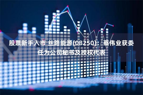 股票新手入市 丝路能源(08250)：蔡伟业获委任为公司秘书及授权代表